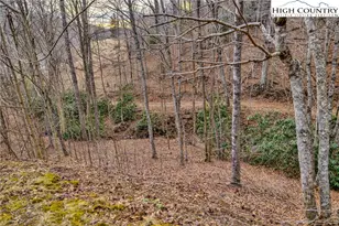 157 Noahs Ridge, Fleetwood, NC 28626 - Photo 49