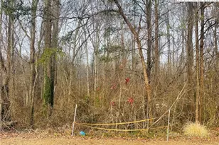 000 Union Hill Rd, Thurmond, NC 28683 - Photo 1