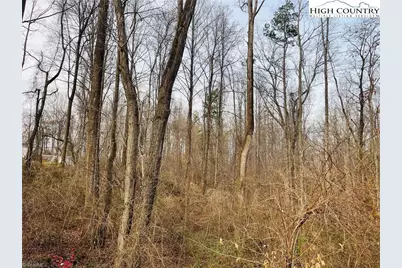 000 Union Hill Road, Thurmond, NC 28683 - Photo 5