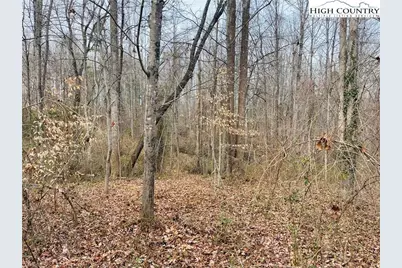 000 Union Hill Road, Thurmond, NC 28683 - Photo 7