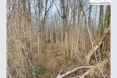 000 Union Hill Road, Thurmond, NC 28683 - Photo 3