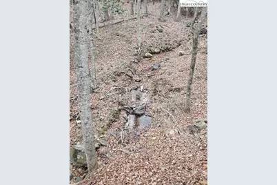 155 Panther Den Estates, Jefferson, NC 28640 - Photo 23