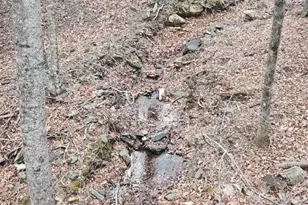 155 Panther Den Estates, Jefferson, NC 28640 - Photo 23