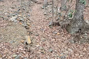 155 Panther Den Estates, Jefferson, NC 28640 - Photo 25