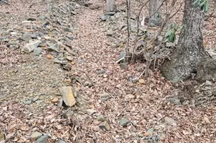 155 Panther Den Estates, Jefferson, NC 28640 - Photo 25