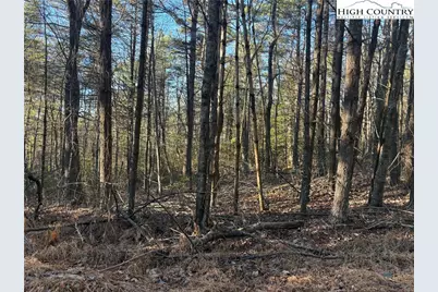 Lot #24 Eagles Nest Lane, Glade Valley, NC 28627 - Photo 1