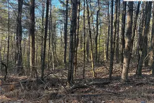 Lot #24 Eagles Nest Ln, Glade Valley, NC 28627 - Photo 1