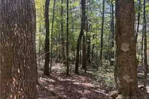 Lot #24 Eagles Nest Ln, Glade Valley, NC 28627 - Photo 1