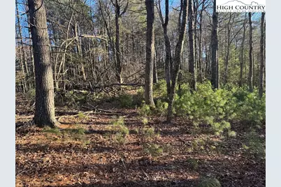 Tbd Gentry Hill Lane, Laurel Springs, NC 28644 - Photo 9