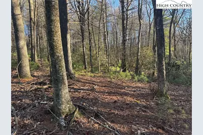 Tbd Gentry Hill Lane, Laurel Springs, NC 28644 - Photo 5