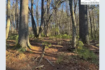 Tbd Gentry Hill Lane, Laurel Springs, NC 28644 - Photo 19