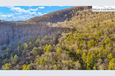 Tbd Lump Road, Purlear, NC 28665 - Photo 25