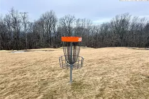 301 Pinnacle Inn Rd, Beech Mountain, NC 28604 - Photo 29