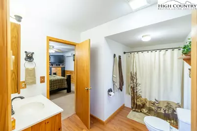 11 Lucky Lakes Drive, Piney  Creek, NC 28631 - Photo 21