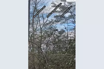 Lot 29 Walden Lane, West Jefferson, NC 28694 - Photo 3