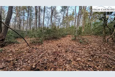 Lot 29 Walden Lane, West Jefferson, NC 28694 - Photo 7