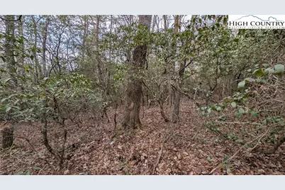 Lot 29 Walden Lane, West Jefferson, NC 28694 - Photo 9