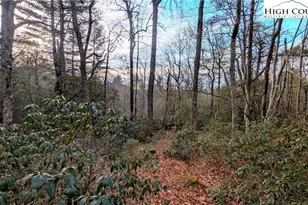 Lot 29 Walden Ln, West Jefferson, NC 28694 - Photo 1