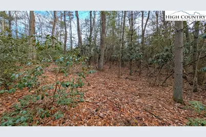 Lot 29 Walden Lane, West Jefferson, NC 28694 - Photo 7