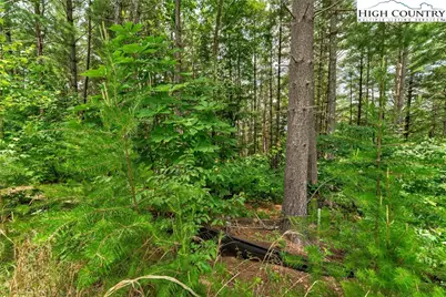 17 Aqua Vista Way, Nebo, NC 28761 - Photo 5