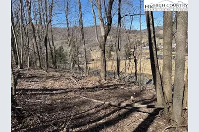 Tbd Roby Poe Road, Jefferson, NC 28640 - Photo 5