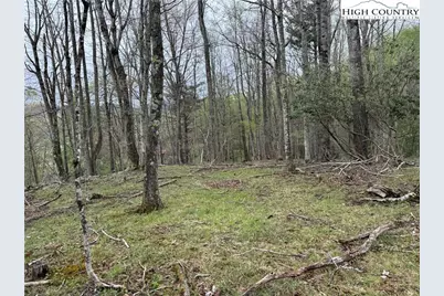 1260 & 1228 Nc Highway 194 S, Todd, NC 28684 - Photo 39