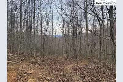 1260 & 1228 Nc Highway 194 S, Todd, NC 28684 - Photo 31