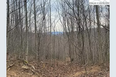 1260 & 1228 Nc Highway 194 S, Todd, NC 28684 - Photo 11