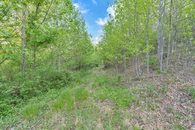 1260 & 1228 Nc Highway 194 S, Todd, NC 28684 - Photo 19