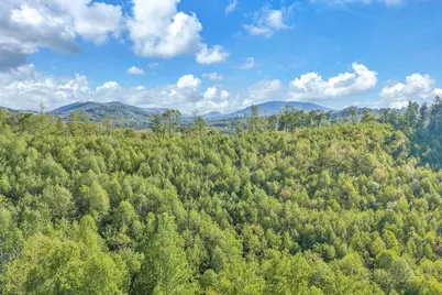 1260 & 1228 Nc Highway 194 S, Todd, NC 28684 - Photo 23