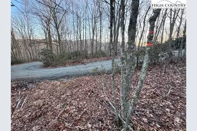 Tbd Pigeon Roost Road, Banner Elk, NC 28604 - Photo 11