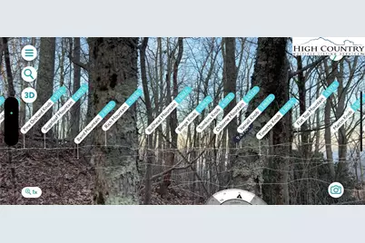 Tbd Pigeon Roost Road, Banner Elk, NC 28604 - Photo 19