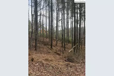Tbd Lot 468 Skyline Road, West Jefferson, NC 28694 - Photo 3