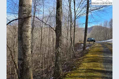 Lot 22 Bluff Canyon Drive, West Jefferson, NC 28684 - Photo 3