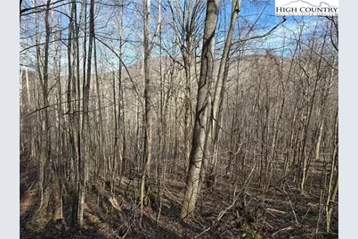 Lot 22 Bluff Canyon Drive, West Jefferson, NC 28684 - Photo 1