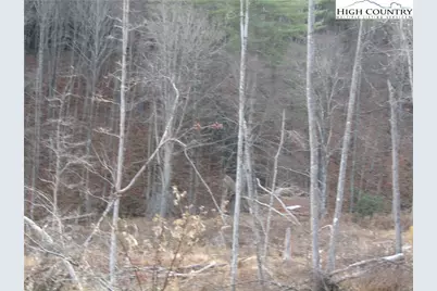 Tbd Plumb Nearly Rd, Crumpler, NC 28617 - Photo 19