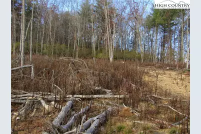 Tbd Plumb Nearly Rd, Crumpler, NC 28617 - Photo 17