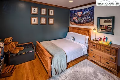 281 Old Hartley Road, Banner Elk, NC 28604 - Photo 29