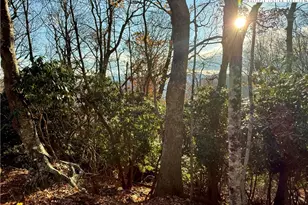 Tbd Pheasant Walk Way, Vilas, NC 28692 - Photo 1