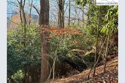 Tbd Pheasant Walk Way, Vilas, NC 28692 - Photo 15