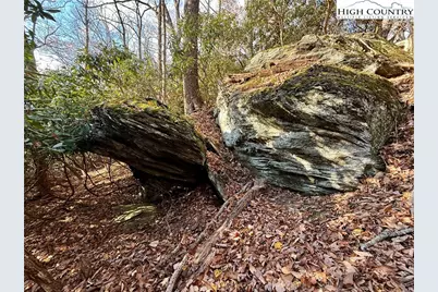 Tbd Pheasant Walk Way, Vilas, NC 28692 - Photo 13