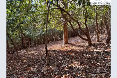 Tbd Pheasant Walk Way, Vilas, NC 28692 - Photo 9