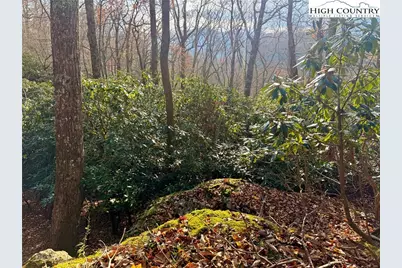 Tbd Pheasant Walk Way, Vilas, NC 28692 - Photo 17