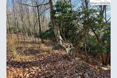 Tbd Pheasant Walk Way, Vilas, NC 28692 - Photo 11
