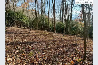 Tbd Pheasant Walk Way, Vilas, NC 28692 - Photo 7