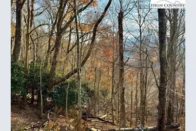 Tbd Pheasant Walk Way, Vilas, NC 28692 - Photo 19