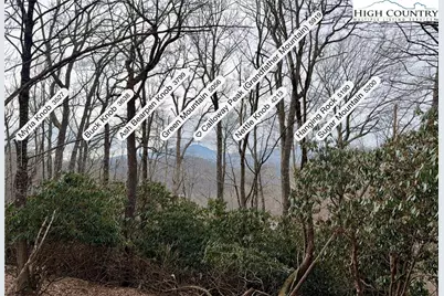 Tbd Pheasant Walk Way, Vilas, NC 28692 - Photo 21