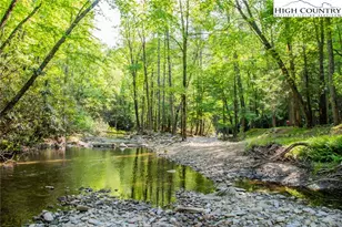 216 Saddle Ln, Deep Gap, NC 28618 - Photo 43