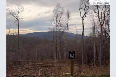 Lot 143 Old Forge Trail, Elk Park, NC 28622 - Photo 3