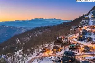 109 Skiloft Rd, Beech Mountain, NC 28604 - Photo 3